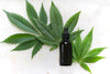 Conquer Stress & Anxiety With Hemp