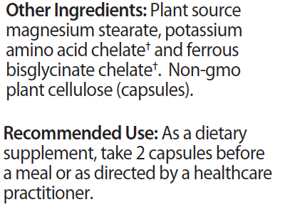 Digestive Enzymes