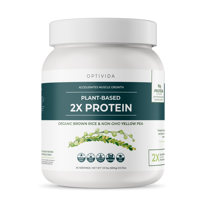 Dairy Free Protein Powder