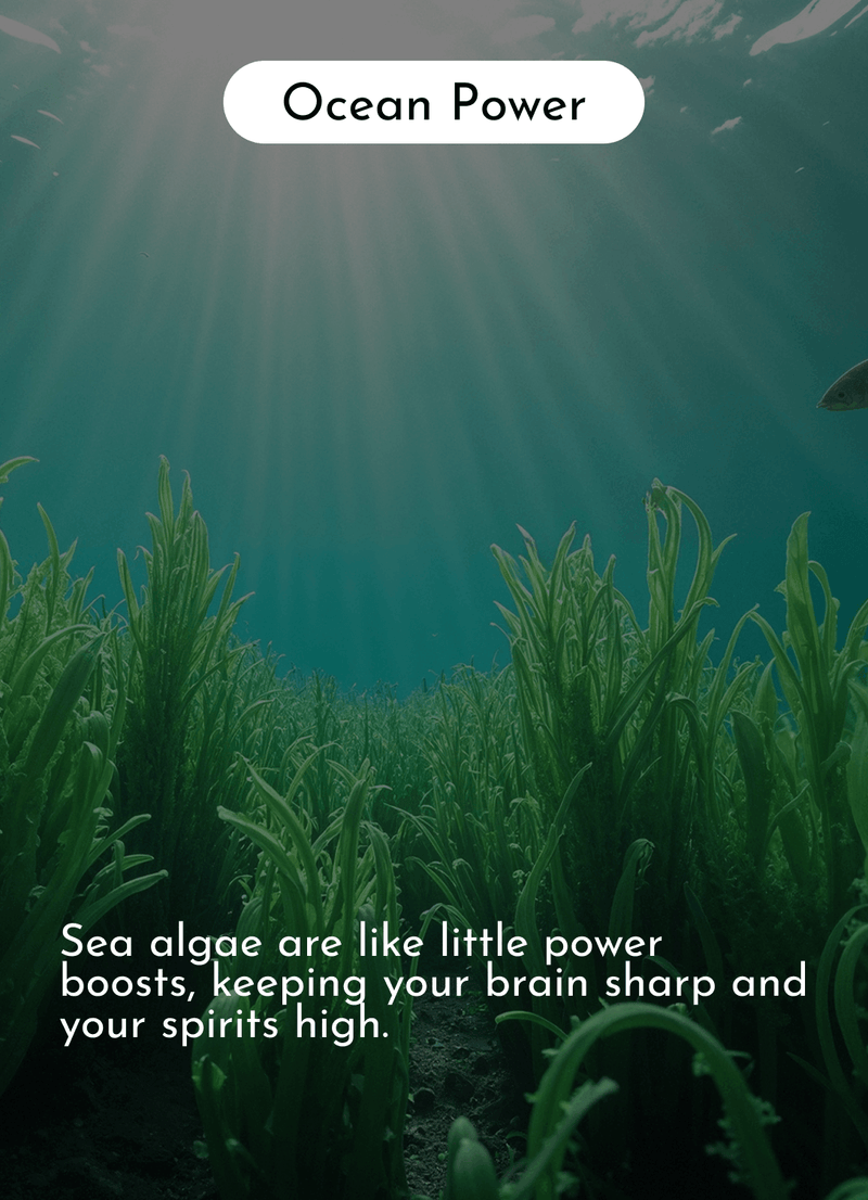 Ocean Power