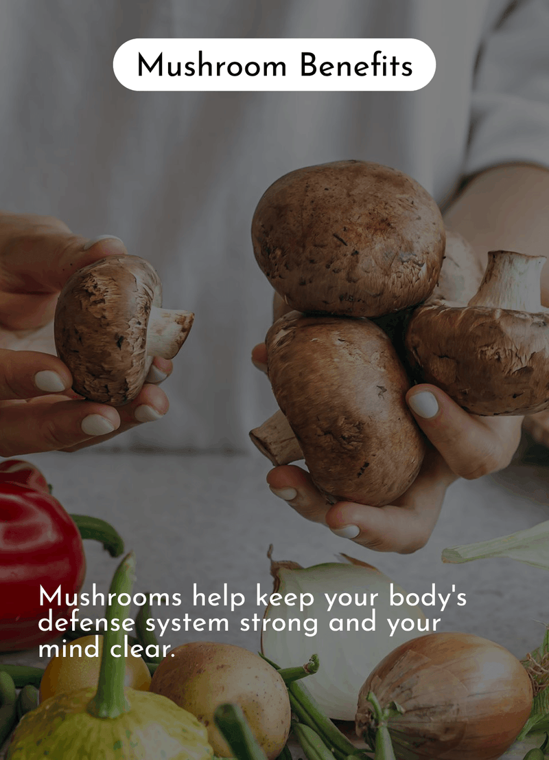 Mushroom Benefits