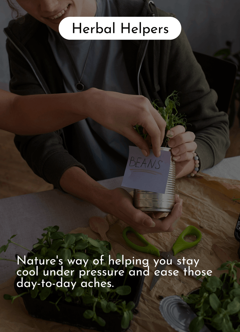 Herbal Helpers (adaptogens)