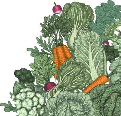 Footer Bottom Vegetables Icon
